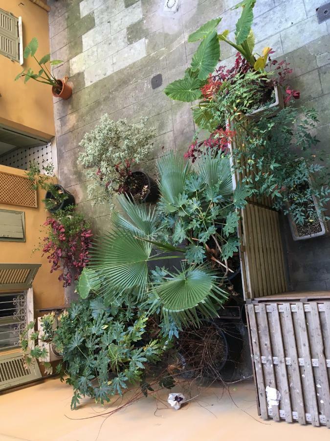 Heart Of Nice Harboor Cosy And Central Exterior foto